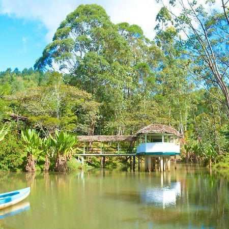 Andasibe Cyperus Hotel Moramanga ภายนอก รูปภาพ
